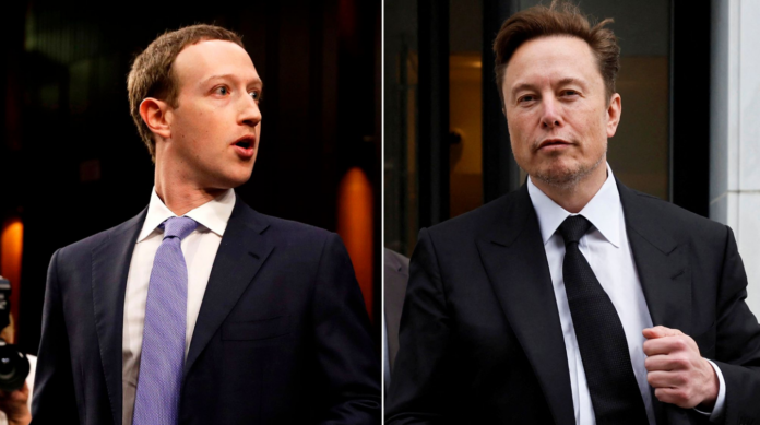 Musk and Zuckerberg Set to Cage Fight