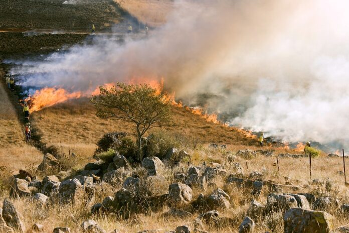 Wildfires in Canada