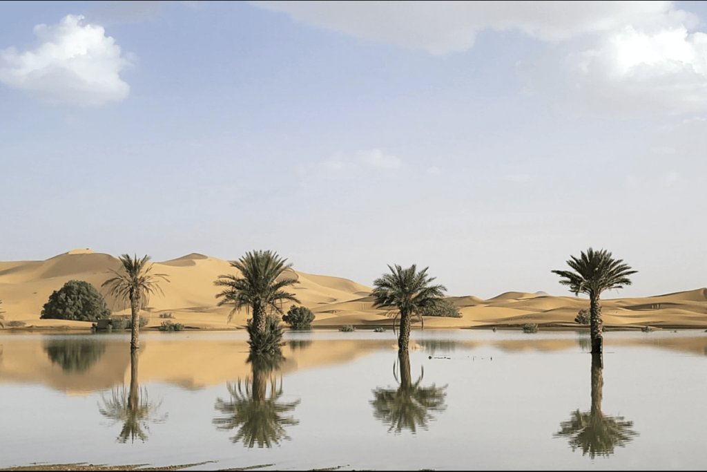 On Wednesday, Oct. 2, 2024, palm trees are mirrored in a lake formed by heavy rainfall in the desert town of Merzouga, located near Rachidia in southeastern Morocco. (AP Photo)